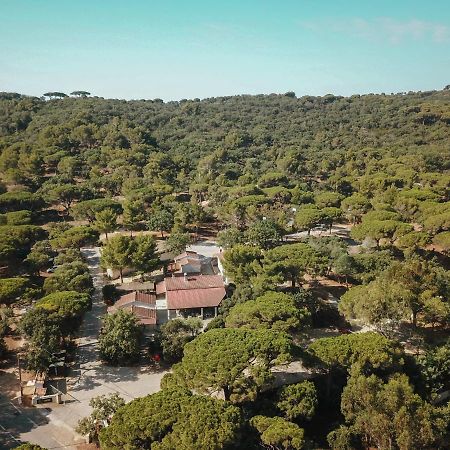 Camping Ladouceur Ramatuelle Exteriör bild