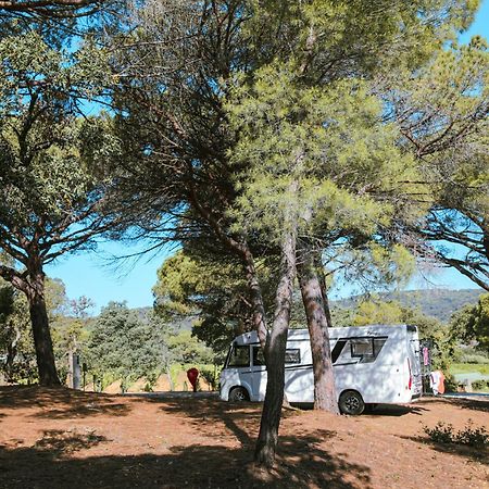 Camping Ladouceur Ramatuelle Exteriör bild
