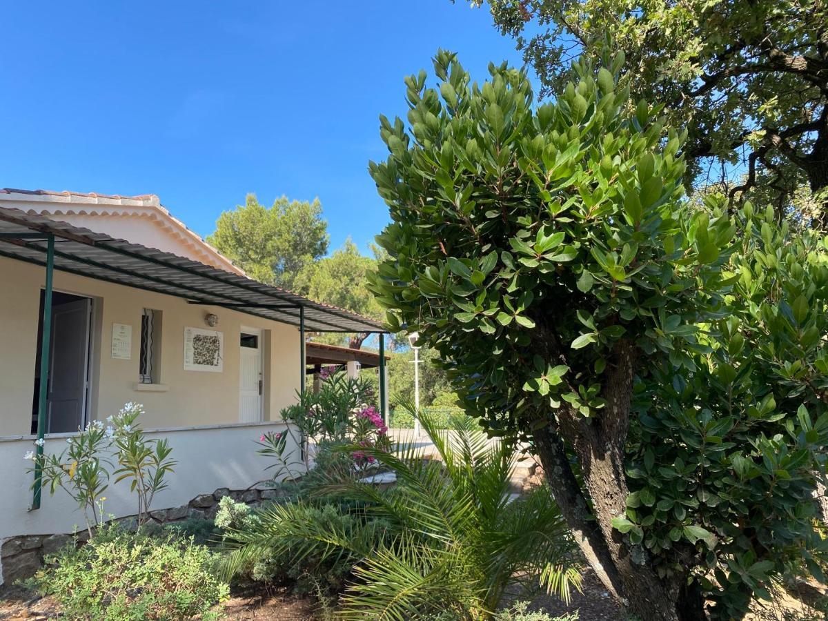 Camping Ladouceur Ramatuelle Exteriör bild