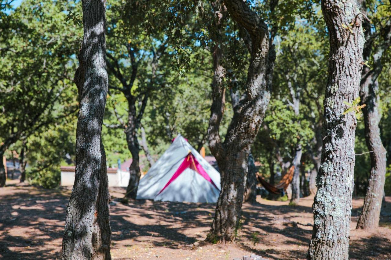Camping Ladouceur Ramatuelle Exteriör bild