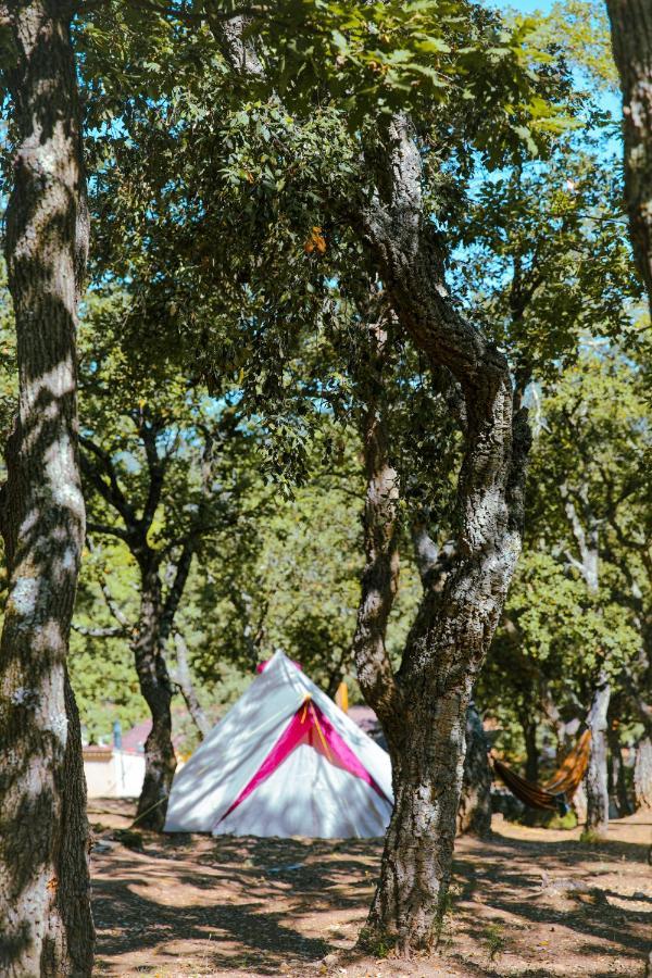 Camping Ladouceur Ramatuelle Exteriör bild