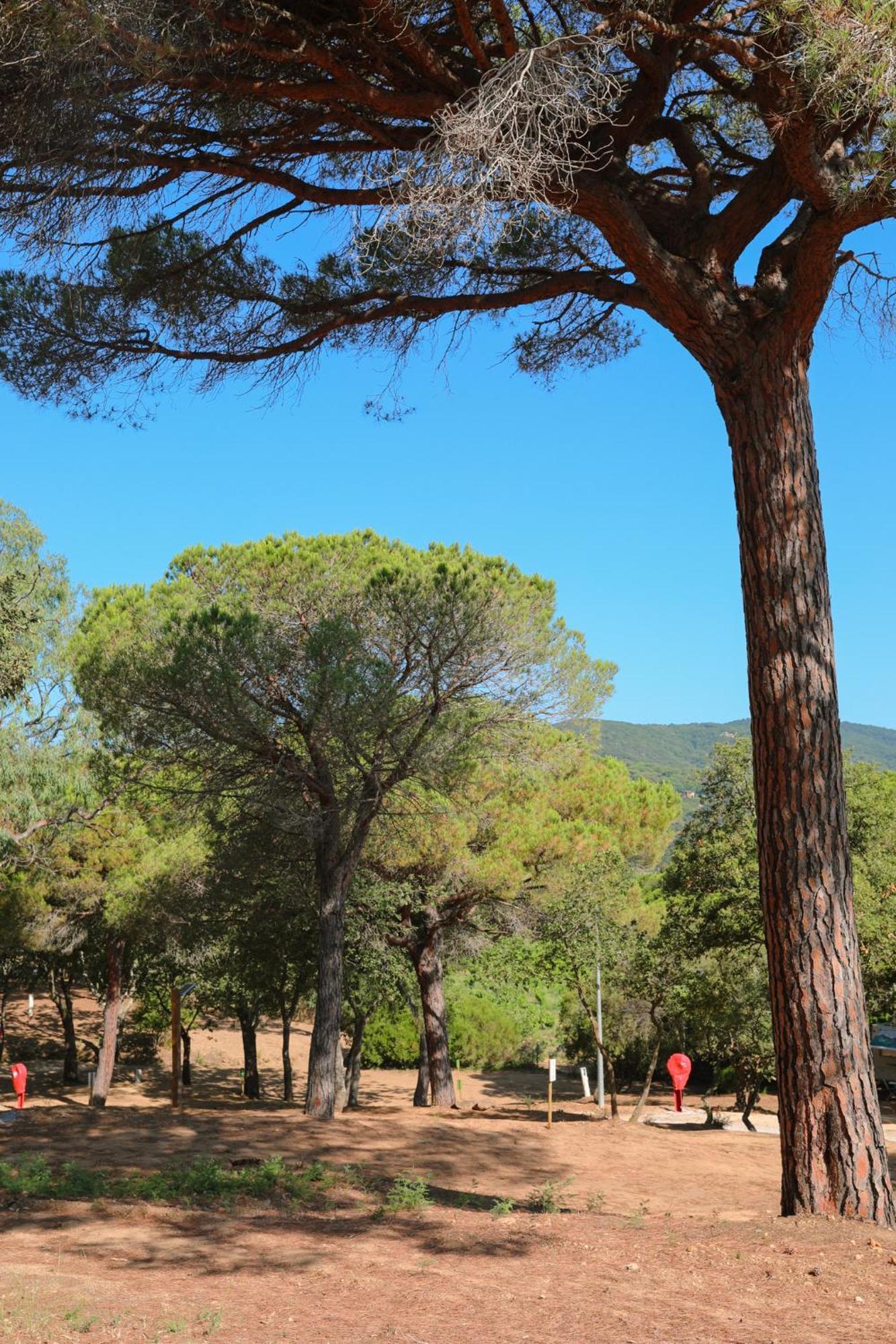 Camping Ladouceur Ramatuelle Exteriör bild