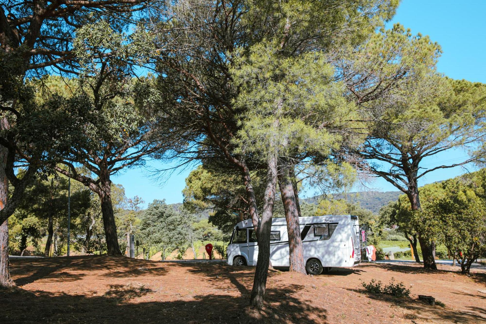 Camping Ladouceur Ramatuelle Exteriör bild