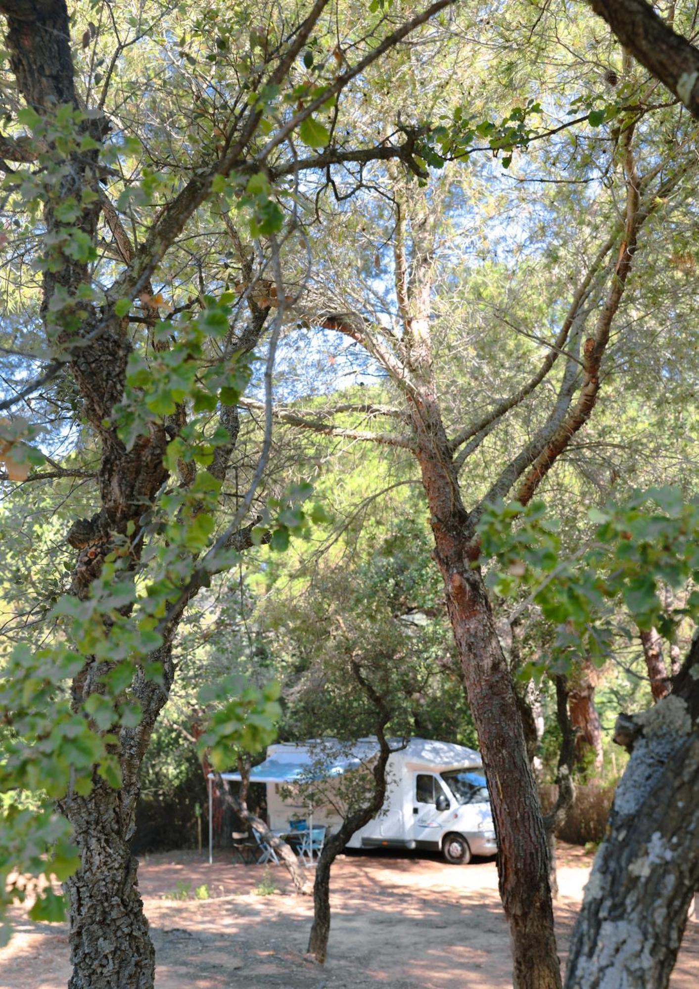 Camping Ladouceur Ramatuelle Exteriör bild