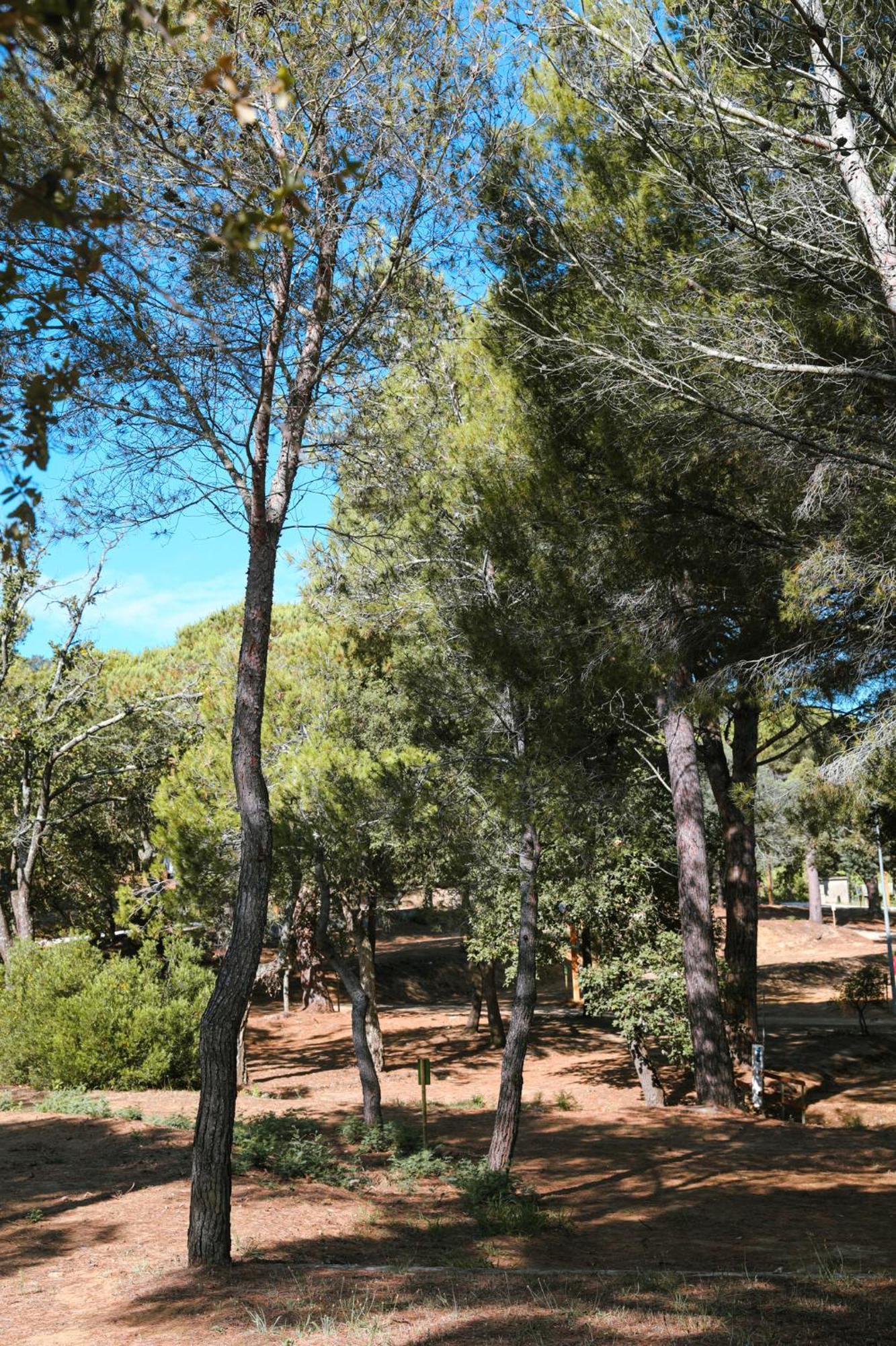 Camping Ladouceur Ramatuelle Exteriör bild