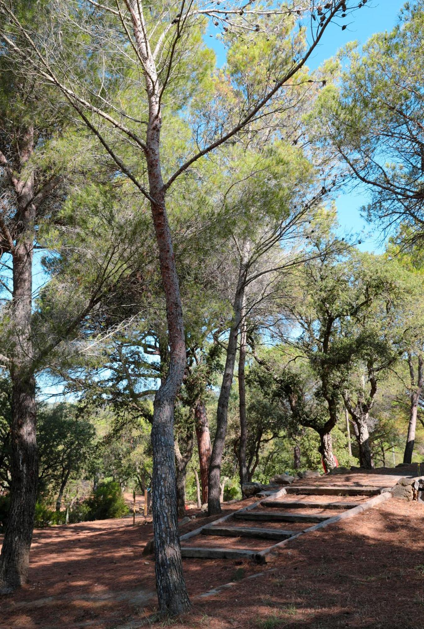 Camping Ladouceur Ramatuelle Exteriör bild
